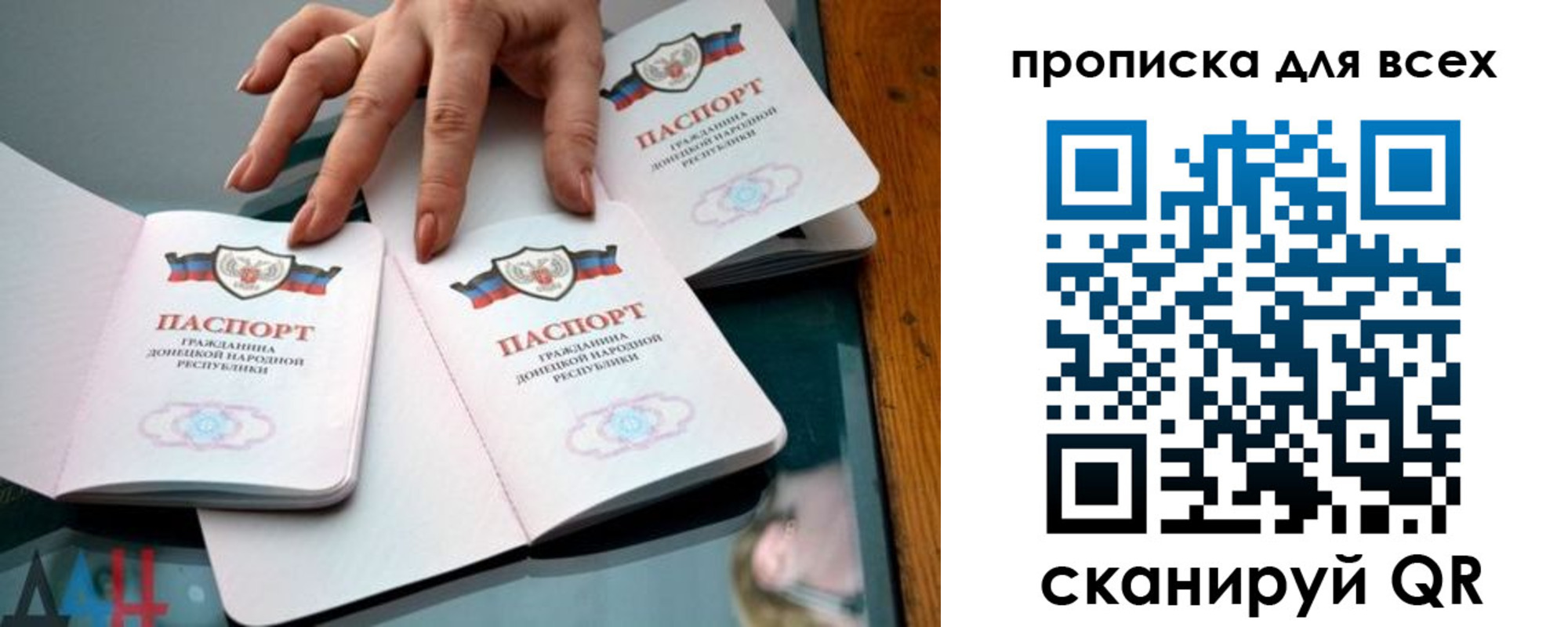 прописка гарантия в Камешково